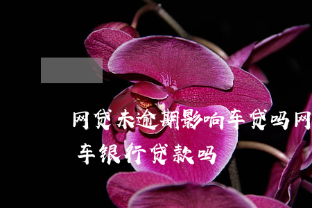 网贷未逾期影响车贷吗(网贷多没逾期影响买车银行贷款吗?)