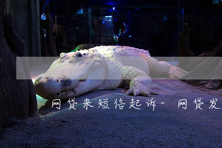 网贷来短信起诉-网贷发来起诉短信