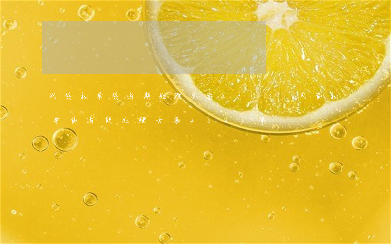 网贷松紧贷逾期处理方案2020-网贷松紧贷逾期处理方案2020年