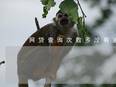 网贷查询次数多没有逾期(网贷查询次数太多)