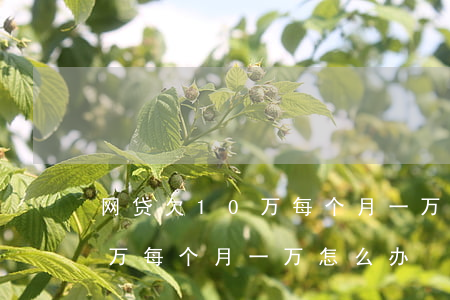 网贷欠10万每个月一万怎么办(网贷欠10万每个月一万怎么办)