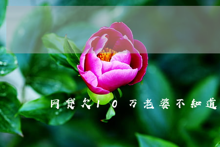 网贷欠10万老婆不知道(欠了10万网贷)