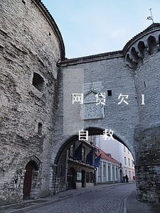 网贷欠12万怎么自己还(欠网贷12万如何自救)