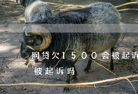 网贷欠1500会被起诉吗(欠网贷一千多会被起诉吗)