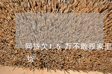 网贷欠15万不敢跟家里人说(欠了15万网贷)