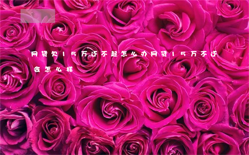 网贷欠15万还不起怎么办(网贷15万不还会怎么样)