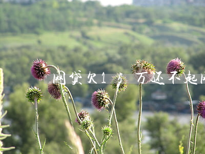网贷欠15万还不起(网贷欠款15万怎么办)