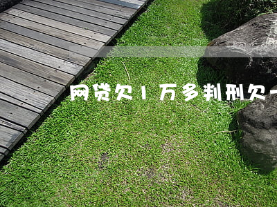 网贷欠1万多判刑(欠一万多网贷会坐牢吗)