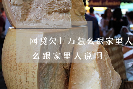 网贷欠1万怎么跟家里人说啊(网贷欠1万怎么跟家里人说啊)
