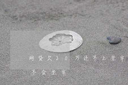 网贷欠20万还不上坐牢么(网贷欠几十万会不会坐牢)