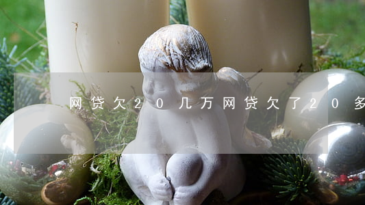 网贷欠20几万(网贷欠了20多万)