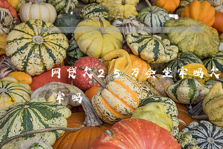 网贷欠25万会坐牢吗(欠网贷20多万会坐牢吗)