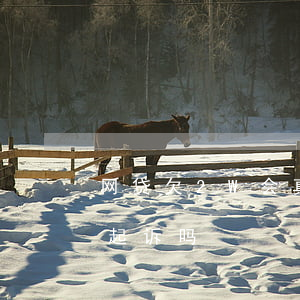 网贷欠2W会真去起诉吗(网贷欠两千元会被起诉吗?)