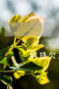 网贷欠2万说要上门(欠两千网贷会上门么)