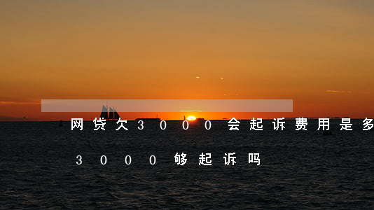 网贷欠3000会起诉费用是多少-欠网贷3000够起诉吗