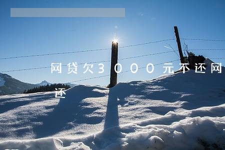 网贷欠3000元不还（网贷欠3000元不还）