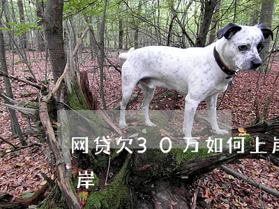 网贷欠30万如何上岸(欠网贷30万怎么上岸)