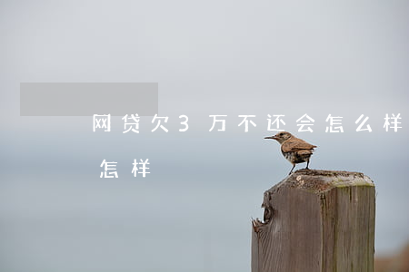 网贷欠3万不还会怎么样(欠三千网贷不还会怎样)