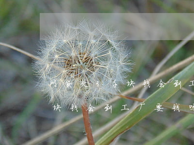 网贷欠3千块钱会到工厂要钱吗(网贷欠3千块钱会到工厂要钱吗)
