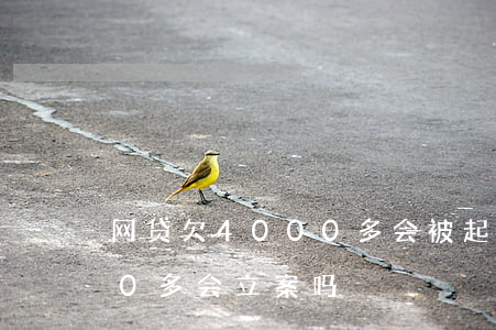 网贷欠4000多会被起诉吗(网贷欠4000多会立案吗)