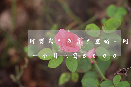 网贷欠4万算严重吗-网贷欠4万算严重吗一个月工资5000