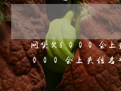 网贷欠5000会上失信名单吗-网贷欠5000会上失信名单吗知乎