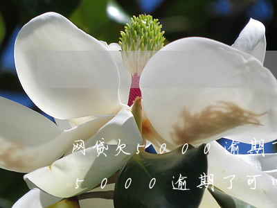 网贷欠5000逾期了可以贷款吗-网贷欠5000逾期了可以贷款吗知乎