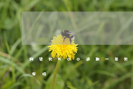 网贷欠500逾期一年(欠网贷500元会坐牢吗)