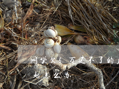 网贷欠5万还不了的后果(欠网贷四五万还不起怎么办)