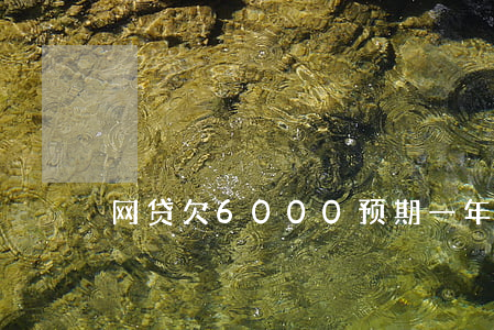 网贷欠6000预期一年没动静-