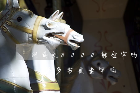 网贷欠8000能坐牢吗(欠网贷3500块一年多,需要坐牢吗)