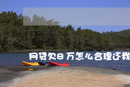 网贷欠8万怎么合理还(我欠网贷八万怎么办)