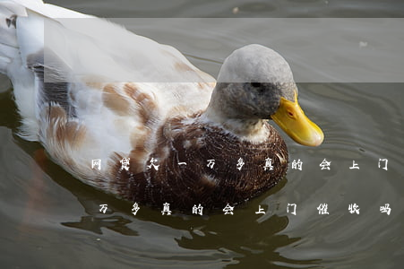 网贷欠一万多真的会上门催收吗-网贷欠一万多真的会上门催收吗知乎