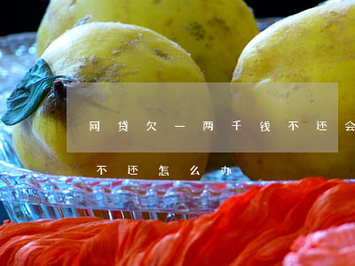 网贷欠一两千钱不还会怎样(欠两千块钱网贷不还怎么办)