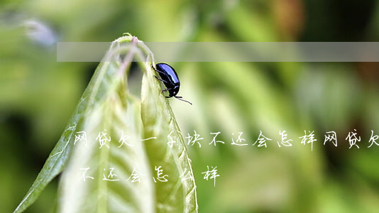 网贷欠一千块不还会怎样(网贷欠了一千多块不还会怎么样?)