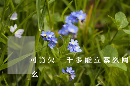 网贷欠一千多能立案么(网贷欠一千多能立案么)