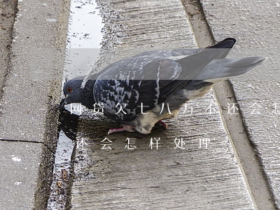 网贷欠七八万不还会怎样-网贷欠七八万不还会怎样处理