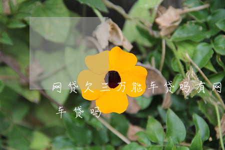 网贷欠三万能车贷吗(有网贷3万但没逾期能车贷吗)