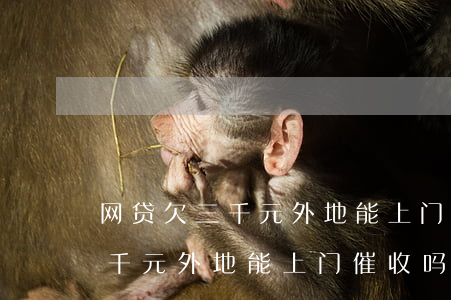 网贷欠三千元外地能上门催收吗-网贷欠三千元外地能上门催收吗知乎