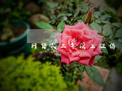 网贷欠三年没上征信