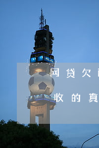 网贷欠两万会上门催收吗(网贷欠了一万多催收的真的会上门吗)