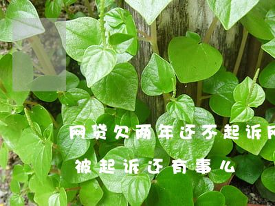 网贷欠两年还不起诉(网贷两年多没还也没有被起诉还有事么)