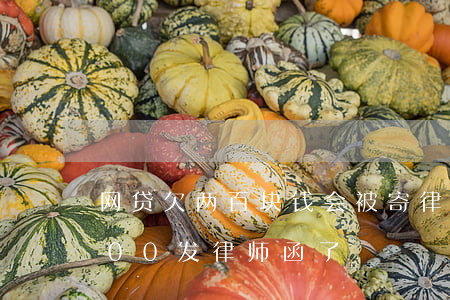 网贷欠两百块钱会被寄律师函吗(网贷欠1000发律师函了)