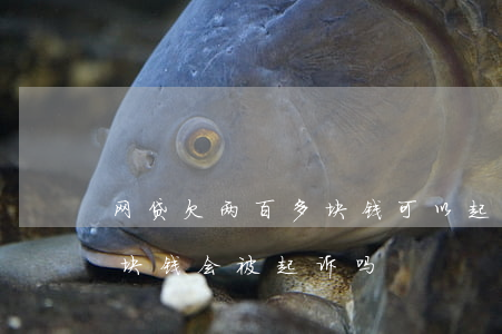 网贷欠两百多块钱可以起诉我吗(网贷欠两千块钱会被起诉吗)
