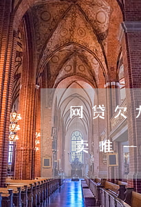 网贷欠九万多房子会不会被拍卖(欠网贷会拍卖唯一的房产吗)