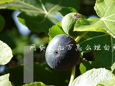 网贷欠九万怎么坦白(欠网贷九万怎么上岸)