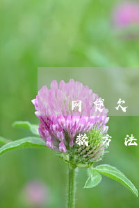 网贷欠了100万怎么办(网贷欠100万自救方法)