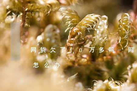 网贷欠了10万多吗-网贷欠了10万多吗怎么办