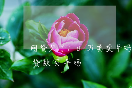 网贷欠了10万要卖车吗(有十万网贷还可以贷款买车吗)