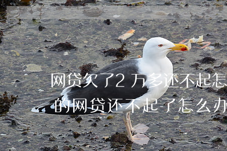 网贷欠了2万多还不起怎么办(欠了二十几万的网贷还不起了怎么办)